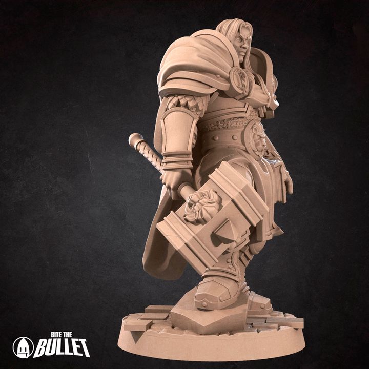 Paladin Prince | 32mm, 35mm Scale | Unpainted Miniature