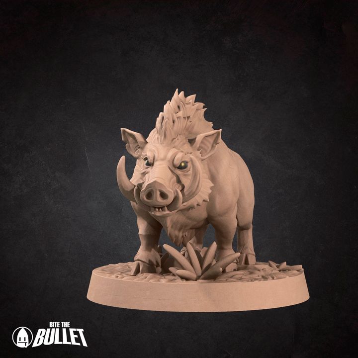 Boars - Barren Set - 32mm, 35mm Scale - Unpainted Miniature