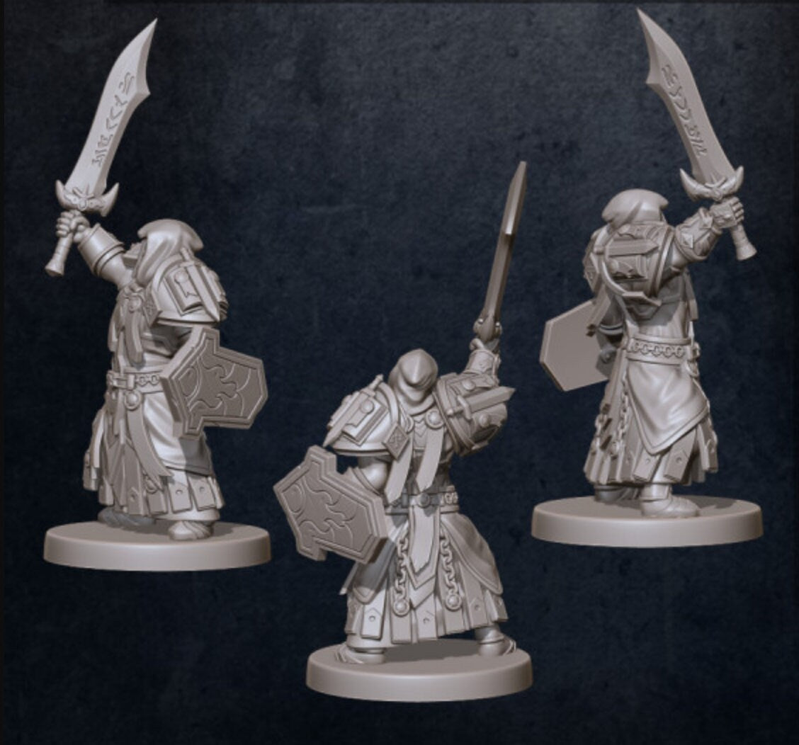 Human Paladin - Classic Armor