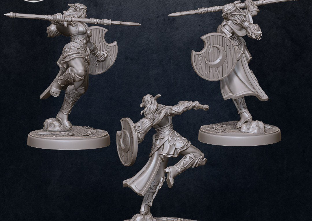 Moon Elf Fighter - Lyana Lightbranch