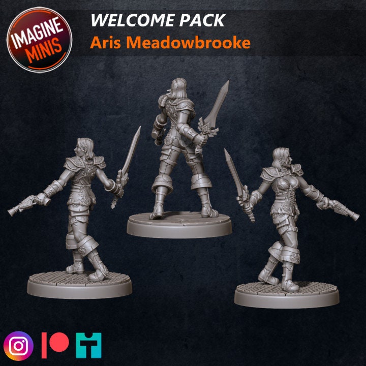 Aris Meadowbrook - Human Fighter - Unpainted Miniature