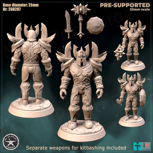 Paladin, Classic Armor, 3 Poses - 32mm Scale - Unpainted Miniature