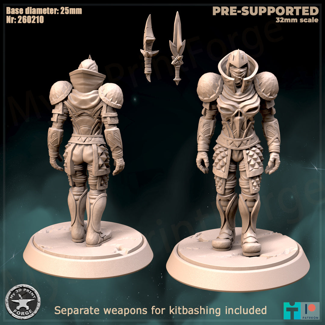 Female Rogue, Classic Armor, 2 Poses - 32mm Scale - Unpainted Miniature