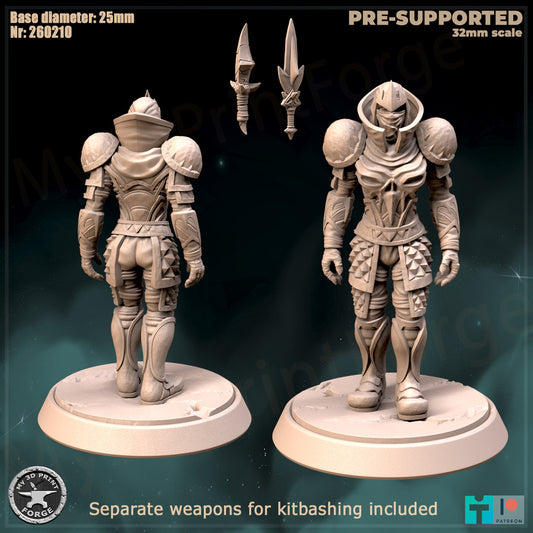 Female Rogue, Classic Armor, 2 Poses - 32mm Scale - Unpainted Miniature