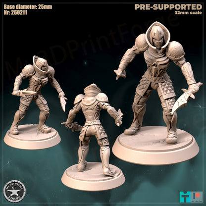Female Rogue, Classic Armor, 2 Poses - 32mm Scale - Unpainted Miniature