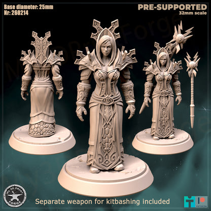 Female Mage, Classic Armor, 3 Poses - 32mm Scale - Unpainted Miniature