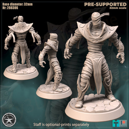 Ethereal Prince - 32mm Scale - Unpainted Miniature