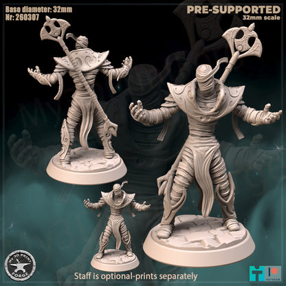 Ethereal Prince - 32mm Scale - Unpainted Miniature