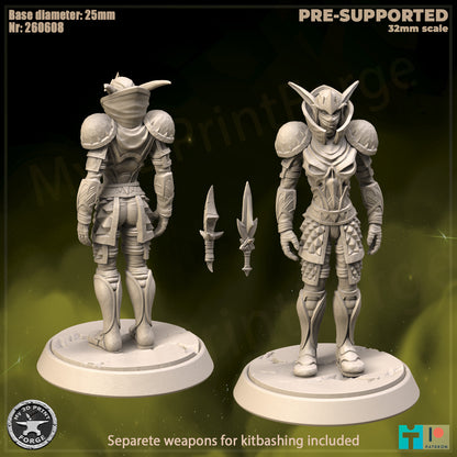 Female Elf Rogue, Classic Armor - 32mm Scale - Unpainted Miniature