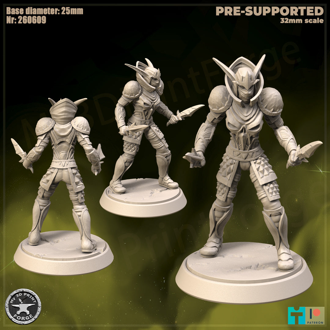 Female Elf Rogue, Classic Armor - 32mm Scale - Unpainted Miniature