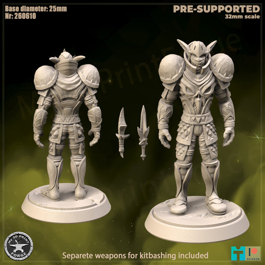 Elf Rogue, Classic Armor - 32mm Scale - Unpainted Miniature
