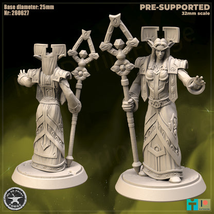 Female Elf Priest, Classic Armor - 32mm Scale - Unpainted Miniature