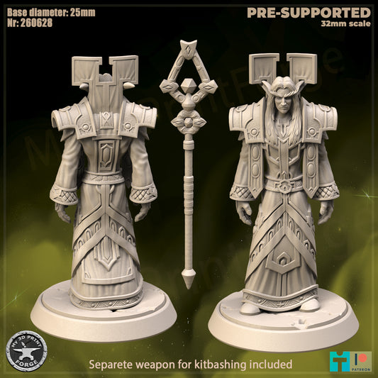 Elf Priest, Classic Armor - 32mm Scale - Unpainted Miniature