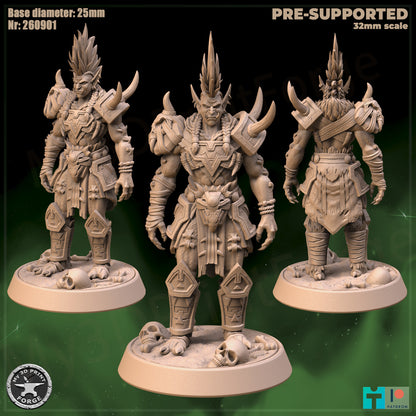 Female Troll Chieftain, 2 Poses - 32mm Scale - Unpainted Miniature