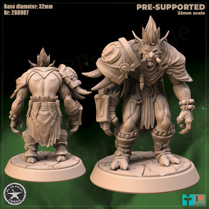 Troll Adviser, 2 Poses - 32mm Scale - Unpainted Miniature