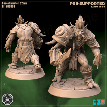 Troll Adviser, 2 Poses - 32mm Scale - Unpainted Miniature