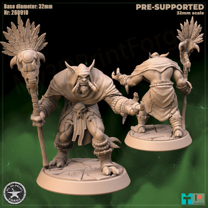 Loa Speaker, 2 Poses - 32mm Scale - Unpainted Miniature