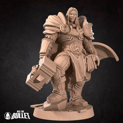Paladin Prince | 32mm, 35mm Scale | Unpainted Miniature