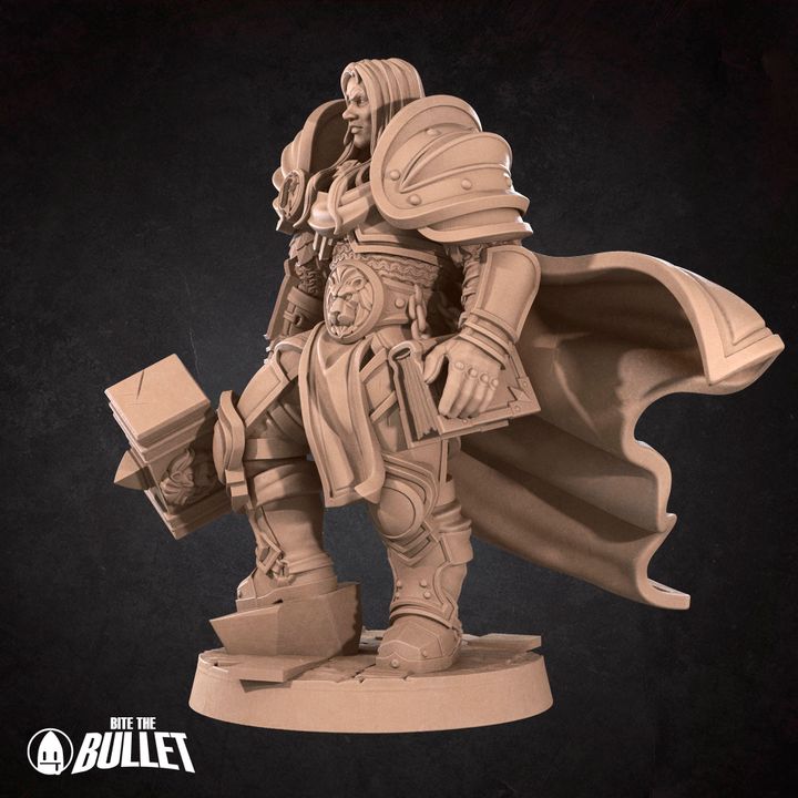 Paladin Prince | 32mm, 35mm Scale | Unpainted Miniature