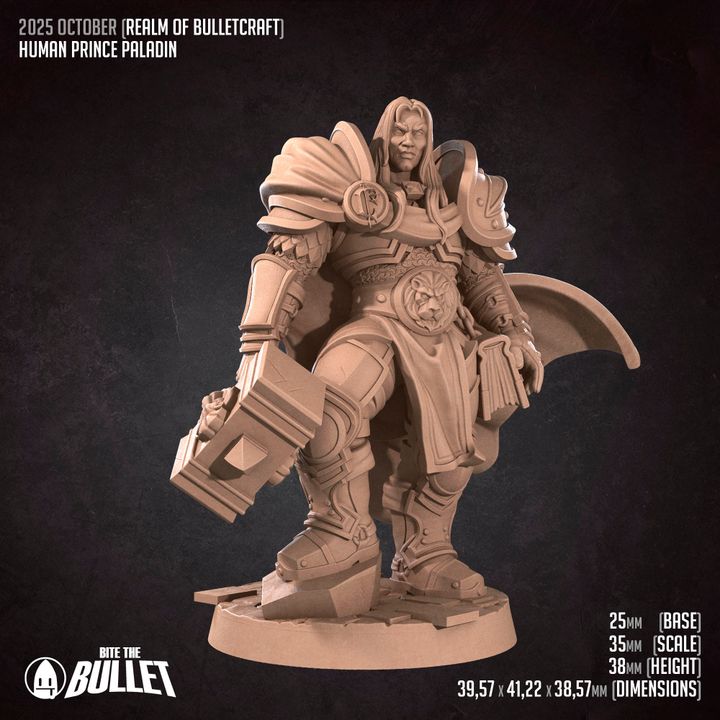 Paladin Prince | 32mm, 35mm Scale | Unpainted Miniature