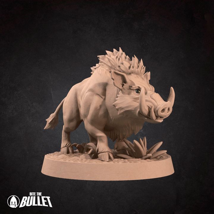 Boars - Barren Set - 32mm, 35mm Scale - Unpainted Miniature