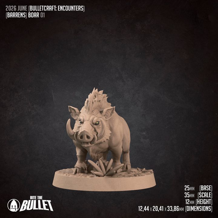 Boars - Barren Set - 32mm, 35mm Scale - Unpainted Miniature