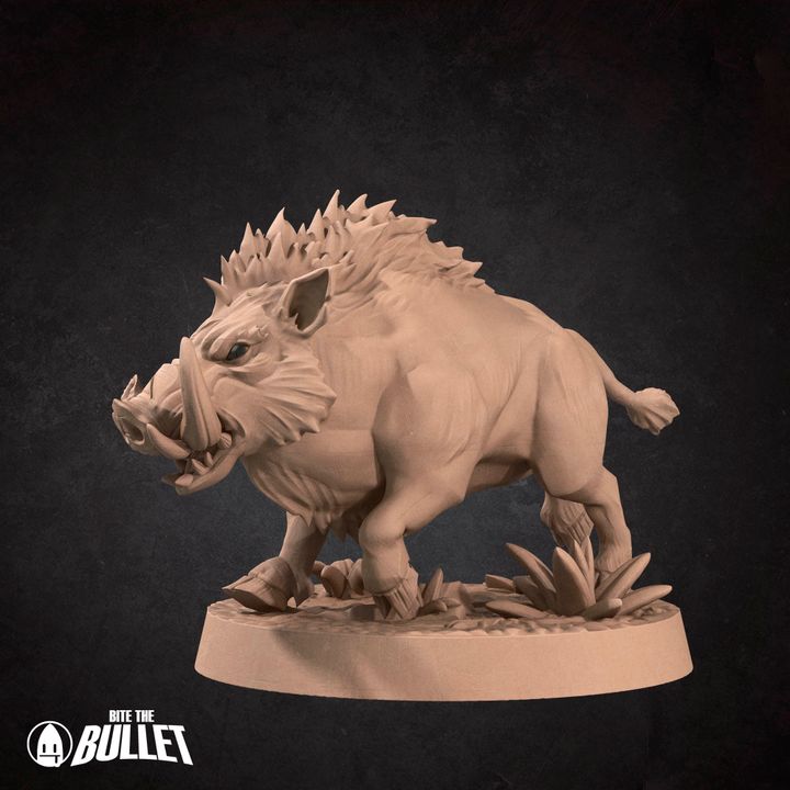 Boars - Barren Set - 32mm, 35mm Scale - Unpainted Miniature