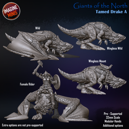 Tamed Drake, Pose A - Giants of the North - Unpainted Miniature