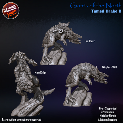 Tamed Drake, Pose B - Giants of the North - Unpainted Miniature