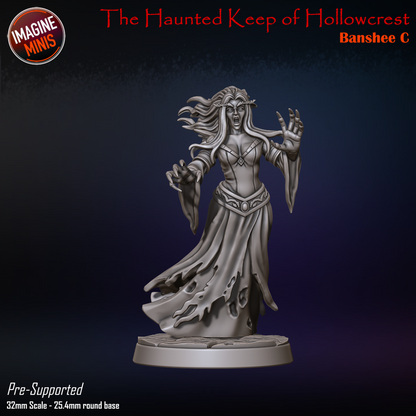Banshee, 3 Poses | Haunted Keep of Hollowcrest | Unpainted Miniature