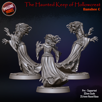 Banshee, 3 Poses | Haunted Keep of Hollowcrest | Unpainted Miniature