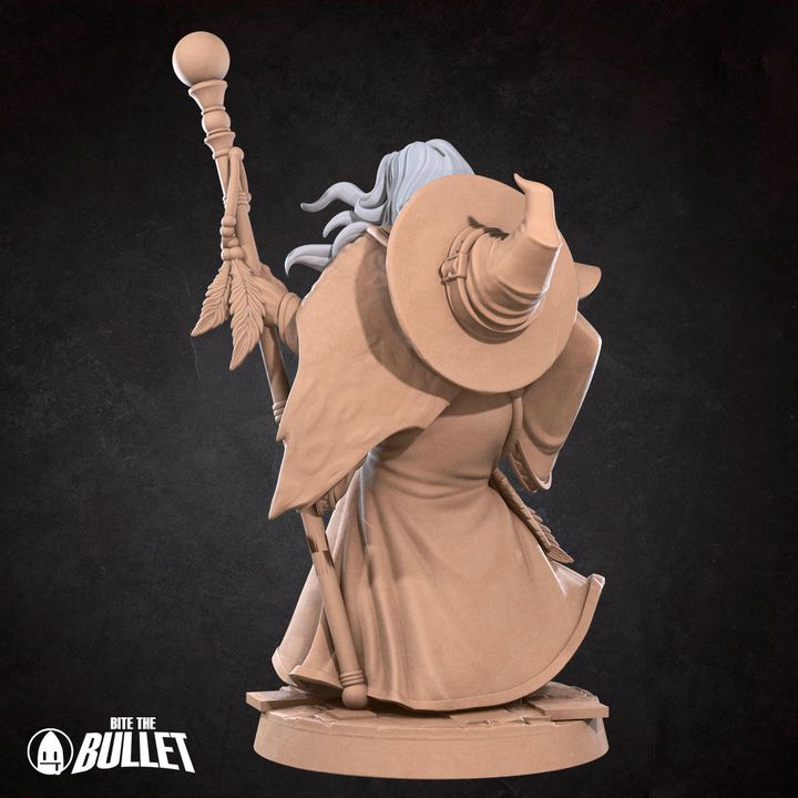 Human Harper Wizard | 32mm, 35mm Scale | Unpainted Miniature
