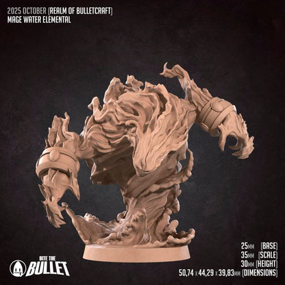 Human Mage Admiral | 32mm, 35mm Scale | Unpainted Miniature