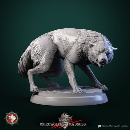 Wolves - Unpainted Miniatures