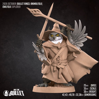 Owlfolk Explorer - Unpainted Miniature