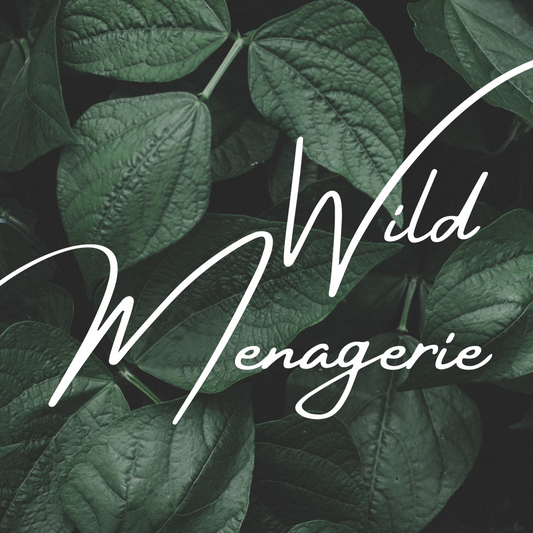 Ryn's Wild Menagerie Gift Card