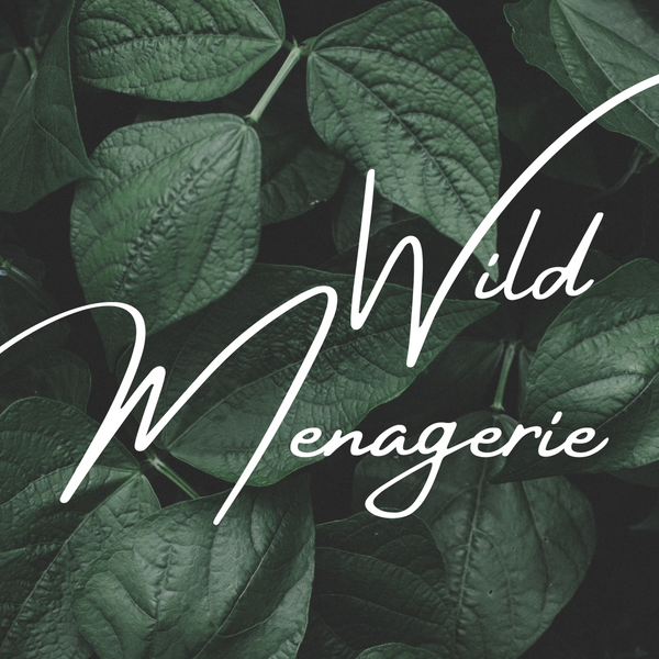 Ryn's Wild Menagerie