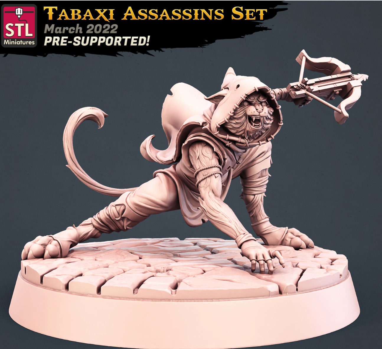 Assassin Miniature - Tabaxi Rogue