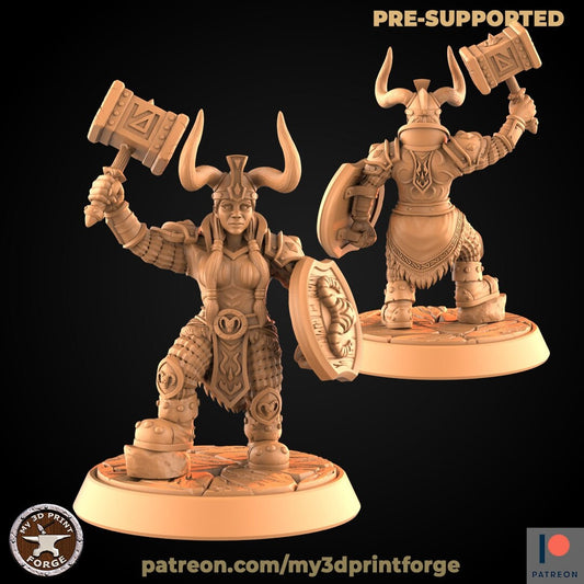 Dwarf Paladin - Unpainted Miniature