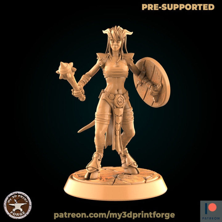 Draenei Paladin - Unpainted Miniature