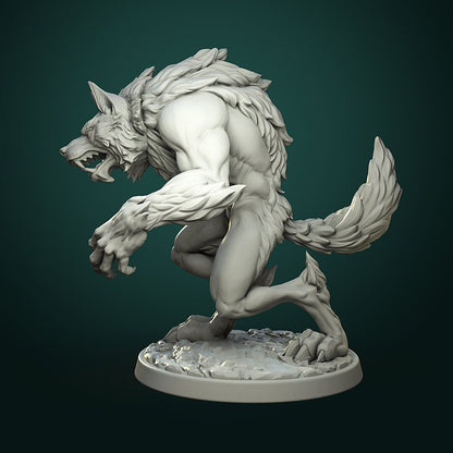 Werewolf, Pose 1 - - 32mm Scale - Unpainted Miniature