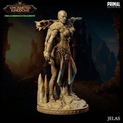 Jelas - Stone Giant - Uncharted Kingdoms - Masters of Dungeons Quest