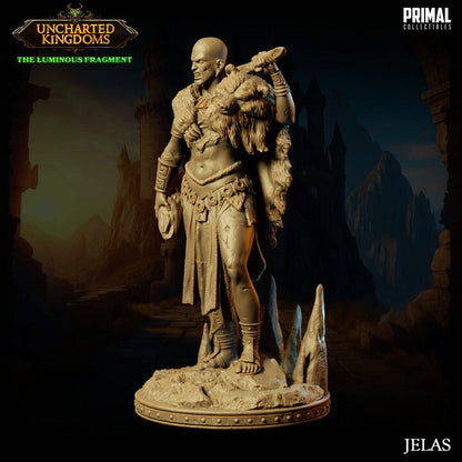 Jelas - Stone Giant - Uncharted Kingdoms - Masters of Dungeons Quest