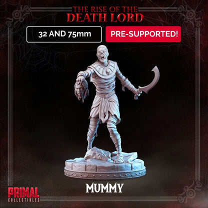 Mummy - Rise of the Death Lord Set - Masters of Dungeons Quest