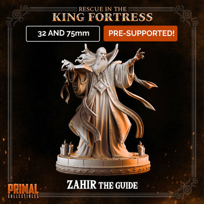 Zahir, the Guide - Rescue in the King Fortress - Masters of Dungeons Quest