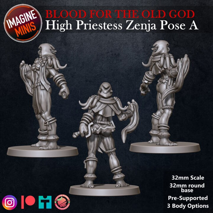 High Priestess Zenja - Pose A - Blood for the Old God Set - Unpainted Miniature