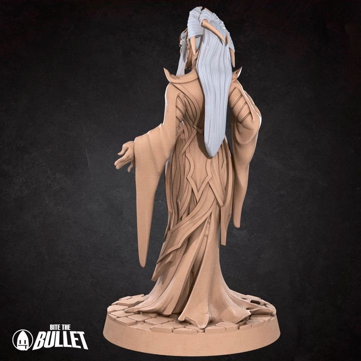 Drow Matron - Unpainted Miniature