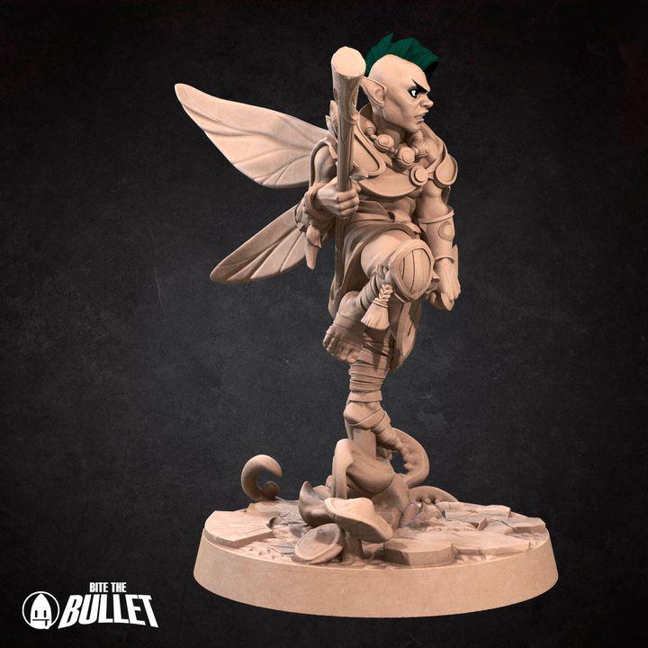 Pixie Monk, Male Pixie - 32mm, 35mm Scale - Unpainted Miniature for DnD, Pathfinder, Tabletop RPGs - Bite the Bullet