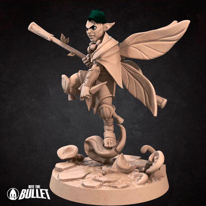 Pixie Monk, Male Pixie - 32mm, 35mm Scale - Unpainted Miniature for DnD, Pathfinder, Tabletop RPGs - Bite the Bullet