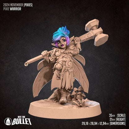 Pixie Warrior, Female Pixie - 32mm, 35mm Scale - Unpainted Miniature for DnD, Pathfinder, Tabletop RPGs - Bite the Bullet